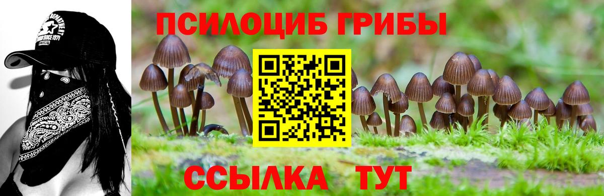 Мичуринск  Псилоцибиновые грибы мицелий  Вход с VPN 